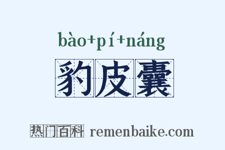 豹皮囊是什么意思的图片